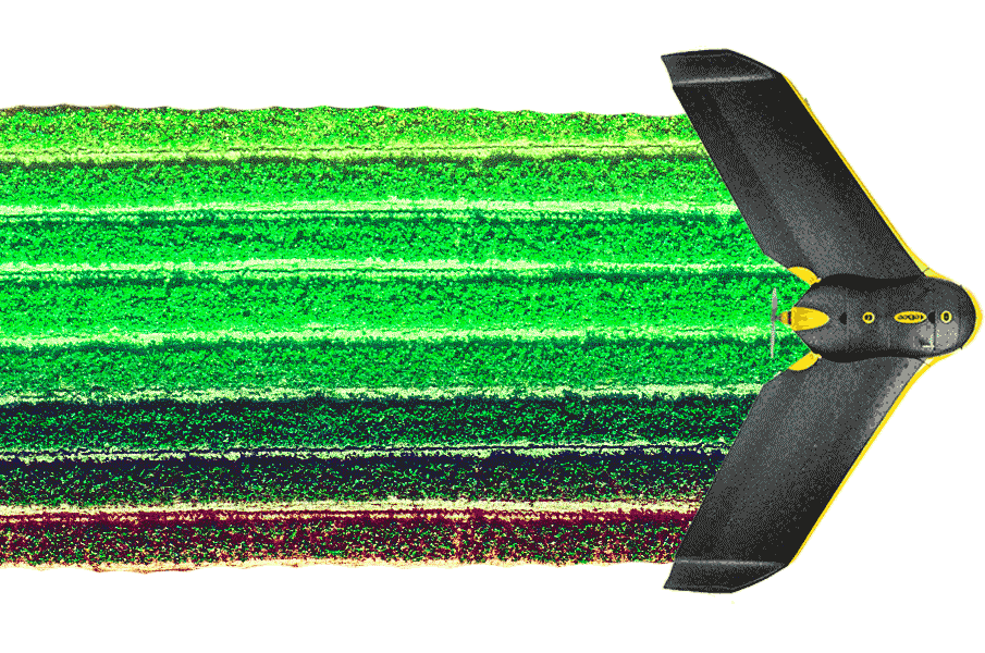 drone professionale bergamo droni prezzo drone fotogrammetria termografia drone rilievi agricoli droni professionali topografia fotogrammetria droni professionali catasto