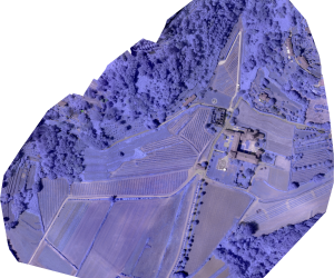 nir sensori agricli catasto bergamo rilievi mappature aeree droni professionali