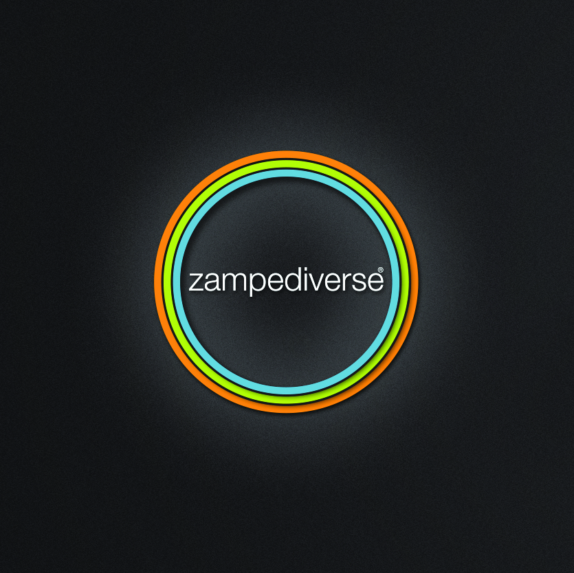 zampediverse drone foto video aziendali riprese bergamo partner