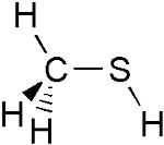 Methanethiol