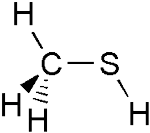 Methanethiol